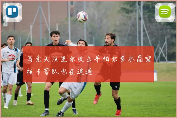 马竞关注里尔攻击手帕尔多水晶宫纽卡等队也在追逐